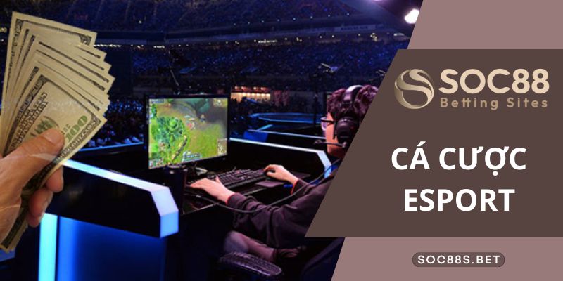 Cá Cược Esport Cùng SOC88 - Cẩm Nang Những Điều Tân Thủ Cần Biết Những thể thể loại game cá cược Esport phổ biến tại nhà cái SOC88