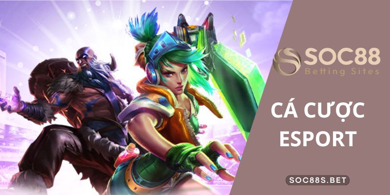 Cá Cược Esport Cùng SOC88 - Cẩm Nang Những Điều Tân Thủ Cần Biết Kinh nghiệm chơi cá cược Esport của các chuyên gia SOC88