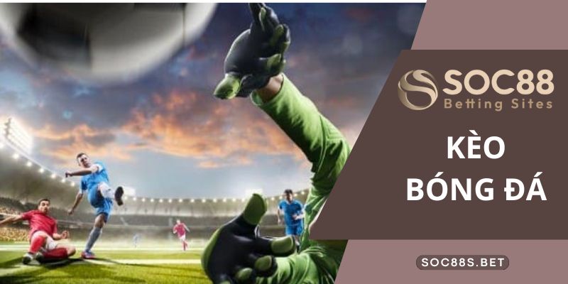 Hướng dẫn đọc kèo bóng đá chuẩn đéc: Kèo Chấp, Tài Xỉu, 1X2