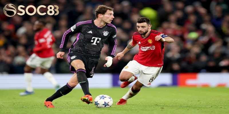 Giải thích tại sao cá độ bóng đá luôn thua tại nhà cái?